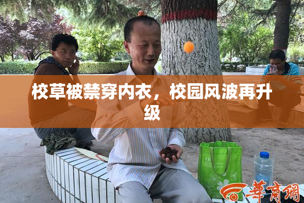 校草被禁穿内衣，校园风波再升级