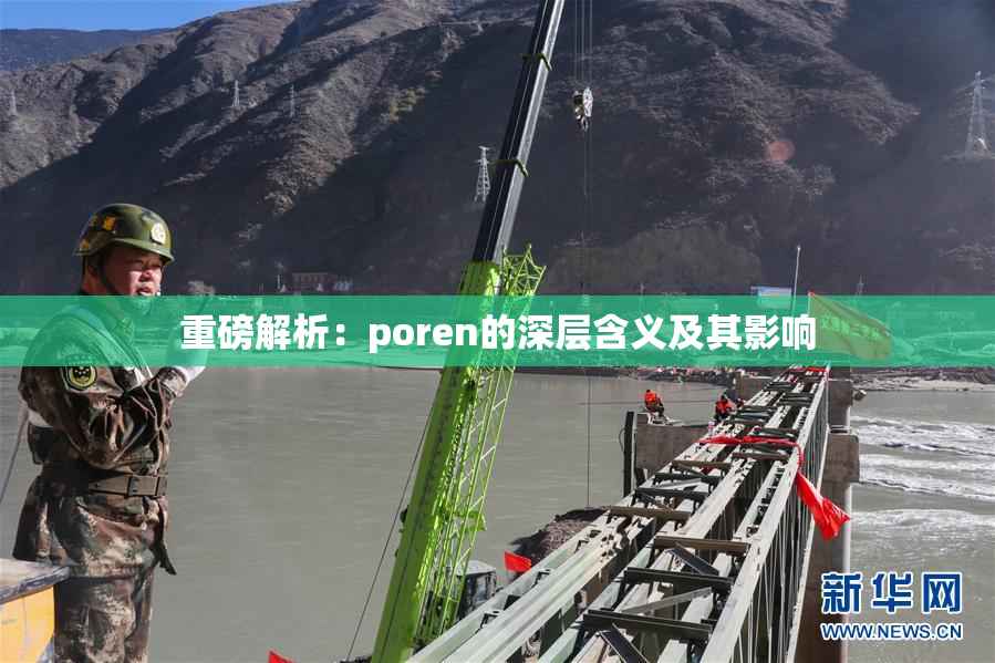 重磅解析：poren的深层含义及其影响