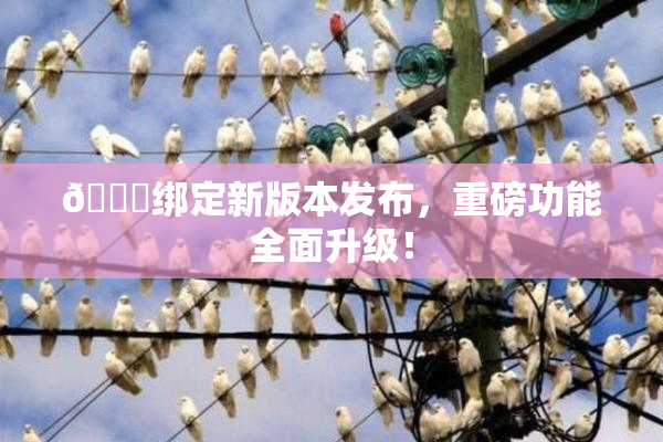 🔞绑定新版本发布，重磅功能全面升级！