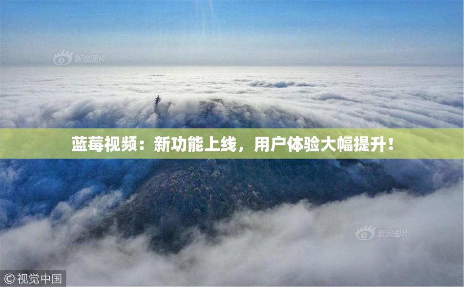 蓝莓视频：新功能上线，用户体验大幅提升！