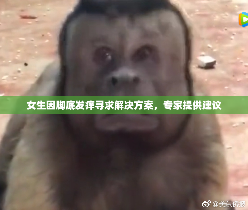女生因脚底发痒寻求解决方案，专家提供建议