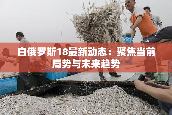 白俄罗斯18最新动态：聚焦当前局势与未来趋势