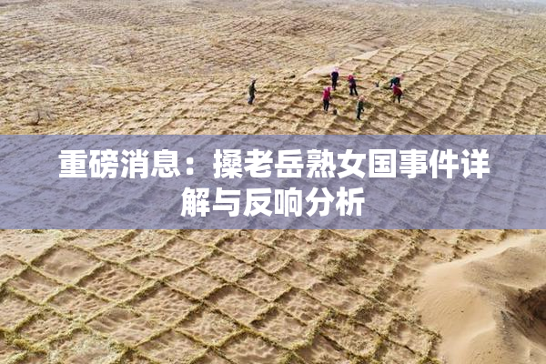 重磅消息：搡老岳熟女国事件详解与反响分析