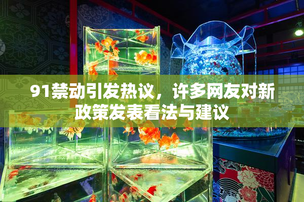 91禁动引发热议，许多网友对新政策发表看法与建议