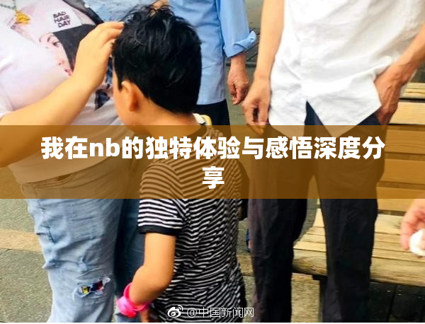 我在nb的独特体验与感悟深度分享