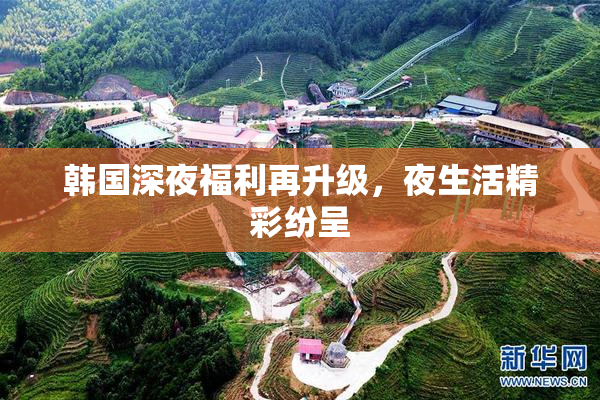韩国深夜福利再升级，夜生活精彩纷呈