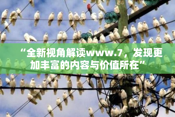 “全新视角解读www.7，发现更加丰富的内容与价值所在”