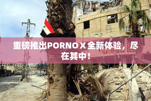 重磅推出PORNOⅩ全新体验，尽在其中！