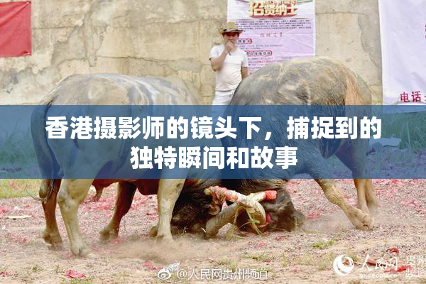 香港摄影师的镜头下，捕捉到的独特瞬间和故事