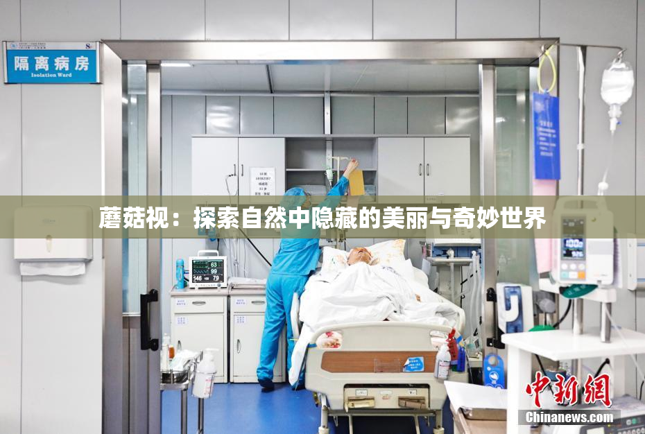 蘑菇视：探索自然中隐藏的美丽与奇妙世界