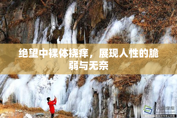 绝望中裸体挠痒，展现人性的脆弱与无奈