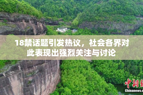 18禁话题引发热议，社会各界对此表现出强烈关注与讨论