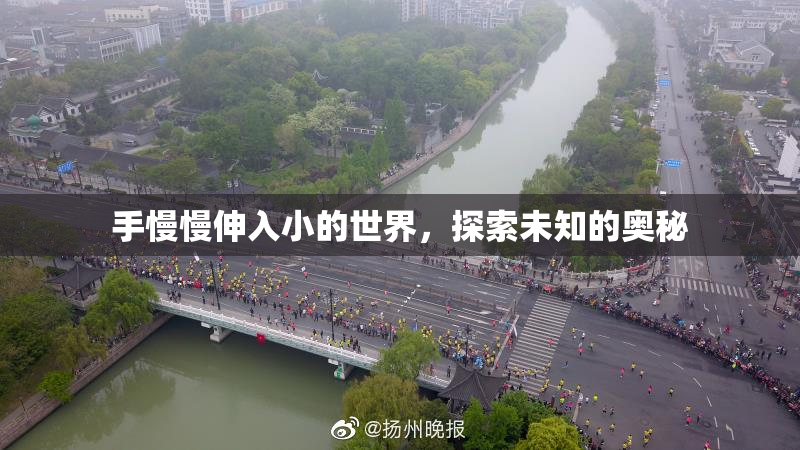 手慢慢伸入小的世界，探索未知的奥秘