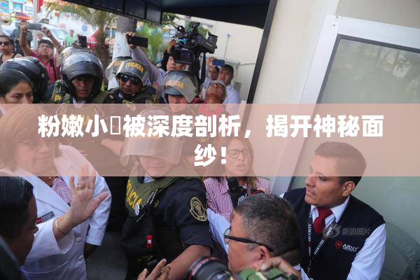 粉嫩小泬被深度剖析，揭开神秘面纱！