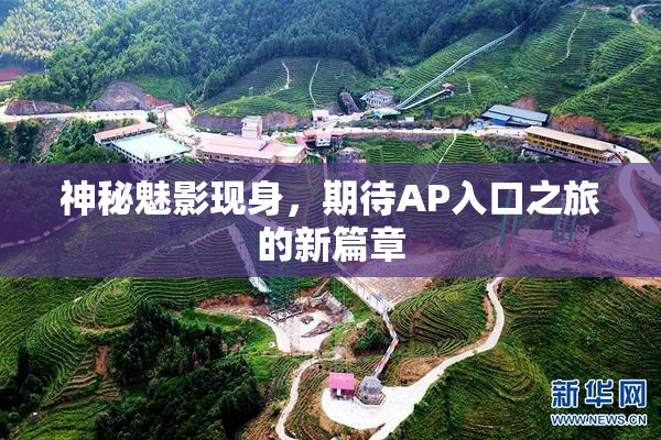 神秘魅影现身，期待AP入口之旅的新篇章