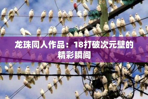龙珠同人作品：18打破次元壁的精彩瞬间