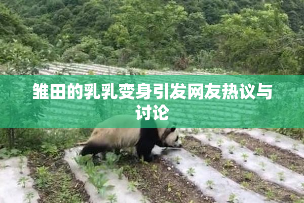 雏田的乳乳变身引发网友热议与讨论