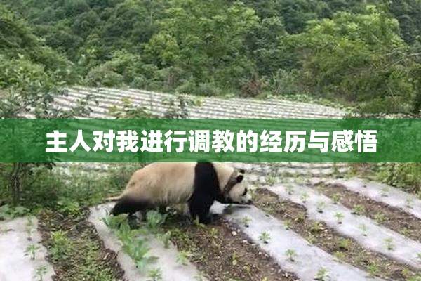 主人对我进行调教的经历与感悟