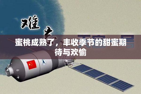蜜桃成熟了，丰收季节的甜蜜期待与欢愉