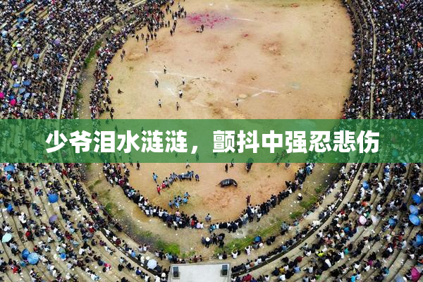 少爷泪水涟涟，颤抖中强忍悲伤