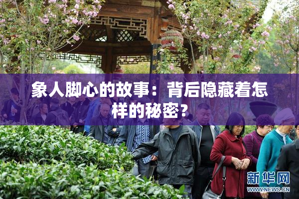 象人脚心的故事：背后隐藏着怎样的秘密？