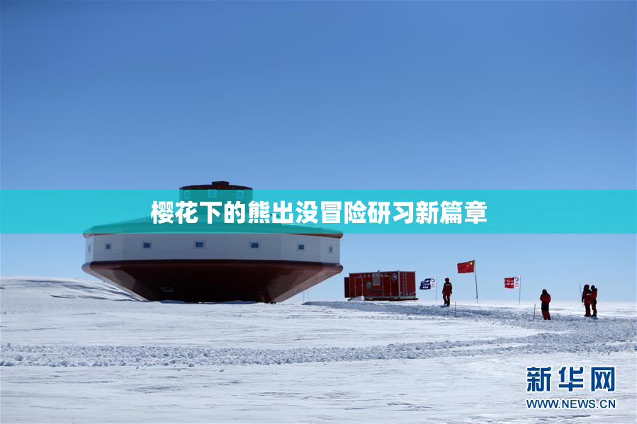 樱花下的熊出没冒险研习新篇章