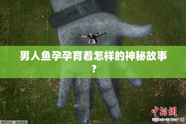 男人鱼孕孕育着怎样的神秘故事？
