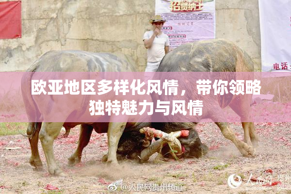 欧亚地区多样化风情，带你领略独特魅力与风情