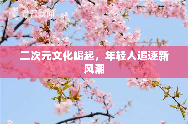 二次元文化崛起，年轻人追逐新风潮