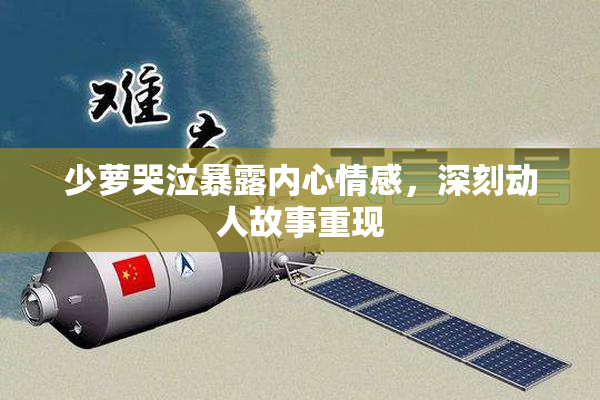 少萝哭泣暴露内心情感，深刻动人故事重现