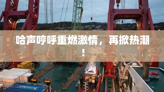 哈声哼呼重燃激情，再掀热潮！
