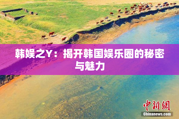 韩娱之Y：揭开韩国娱乐圈的秘密与魅力