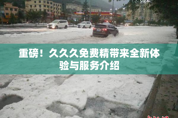 重磅！久久久免费精带来全新体验与服务介绍