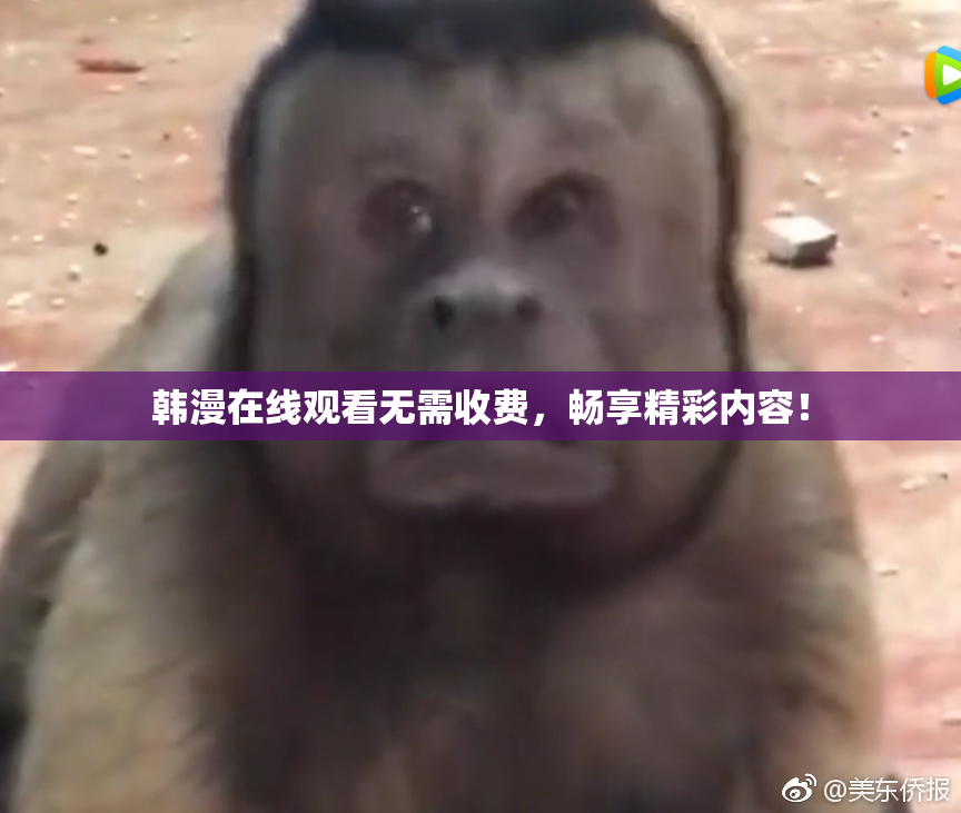 韩漫在线观看无需收费，畅享精彩内容！