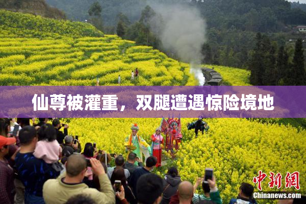 仙尊被灌重，双腿遭遇惊险境地