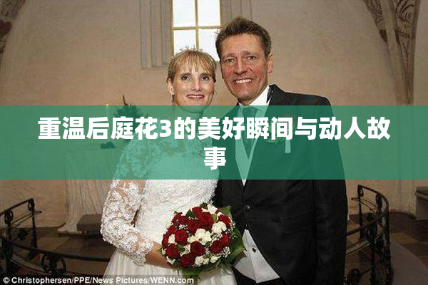 重温后庭花3的美好瞬间与动人故事