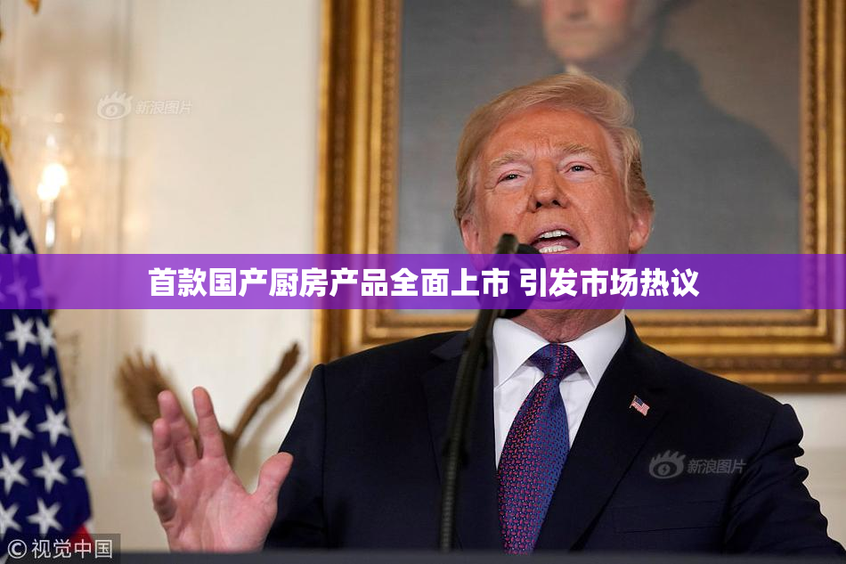 首款国产厨房产品全面上市 引发市场热议