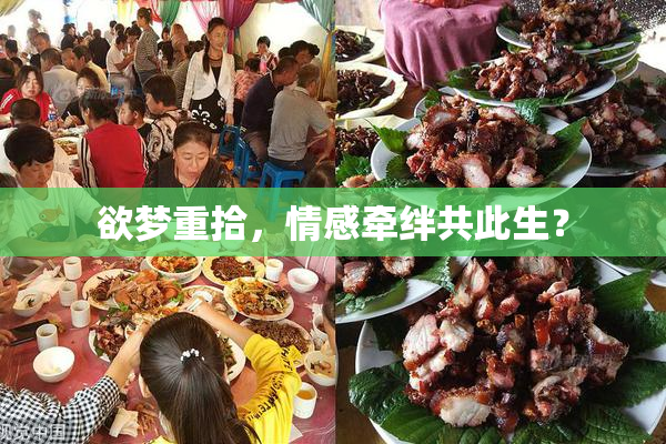 欲梦重拾，情感牵绊共此生？