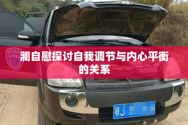 澜自慰探讨自我调节与内心平衡的关系