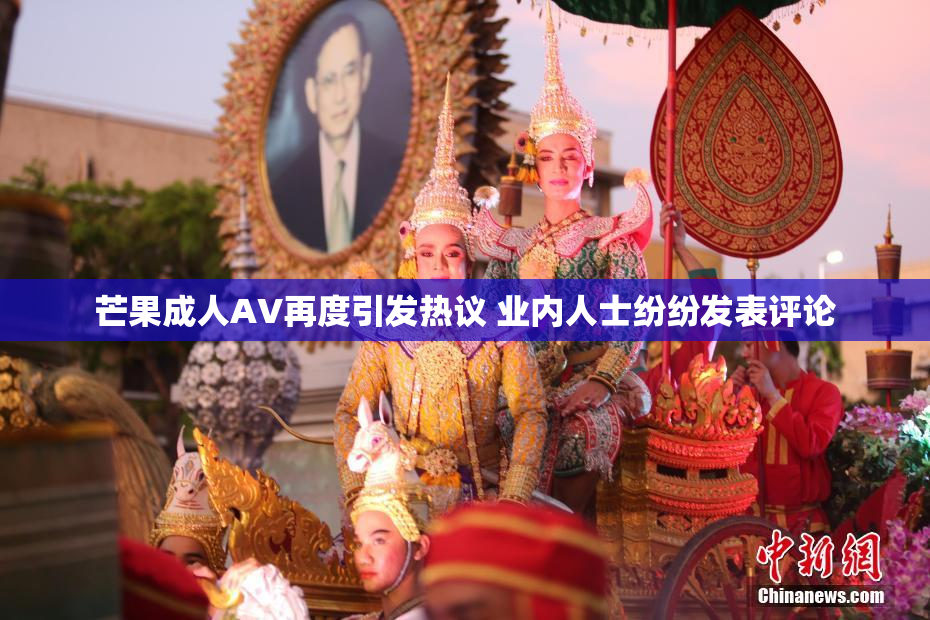 芒果成人AV再度引发热议 业内人士纷纷发表评论
