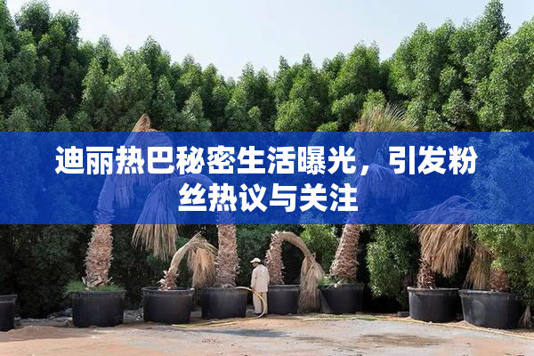 迪丽热巴秘密生活曝光，引发粉丝热议与关注