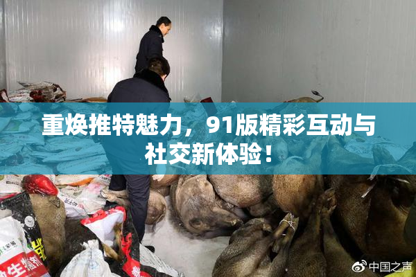 重焕推特魅力，91版精彩互动与社交新体验！