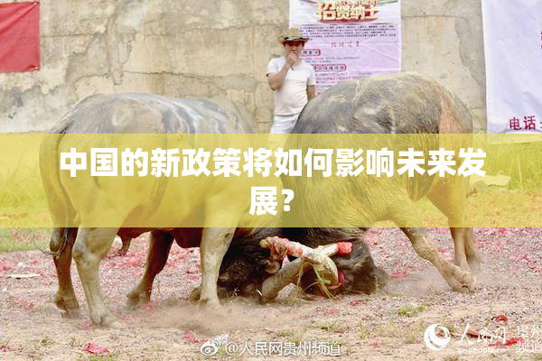 中国的新政策将如何影响未来发展？