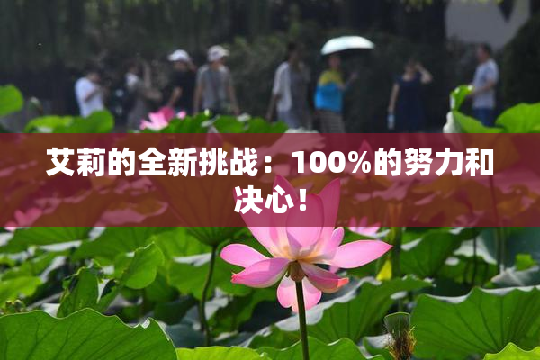 艾莉的全新挑战：100%的努力和决心！
