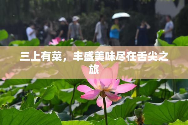三上有菜，丰盛美味尽在舌尖之旅