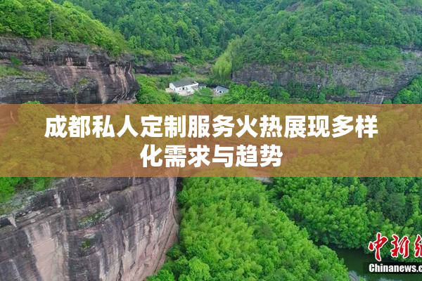成都私人定制服务火热展现多样化需求与趋势