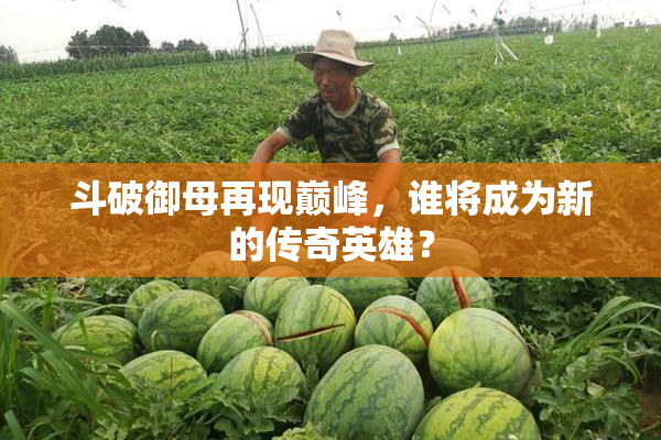 斗破御母再现巅峰，谁将成为新的传奇英雄？