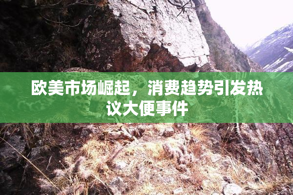 欧美市场崛起，消费趋势引发热议大便事件