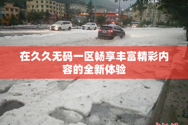 在久久无码一区畅享丰富精彩内容的全新体验
