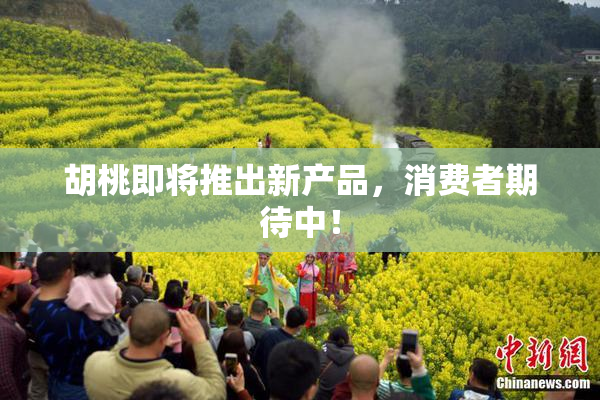 胡桃即将推出新产品，消费者期待中！